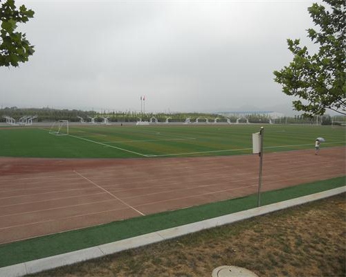 莊河市高級中學
